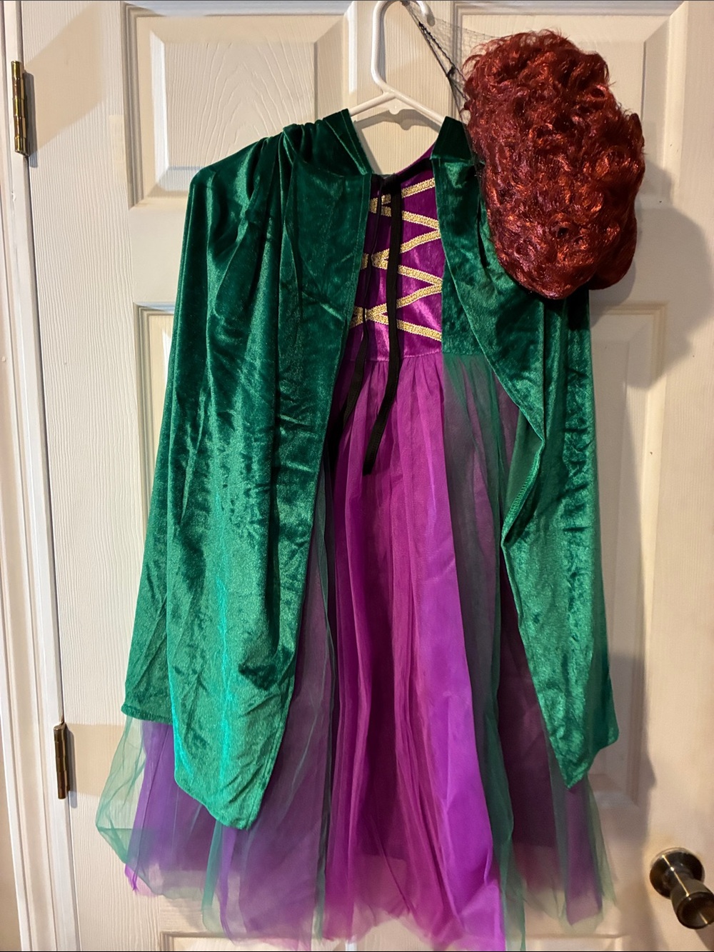 Halloween Green and Purple Princess or Anna Costume Dress